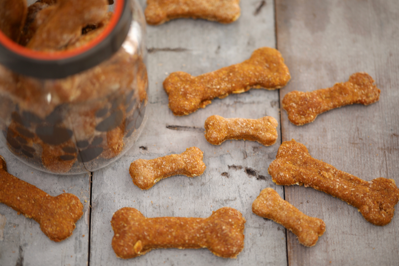 home made cookies for dogs