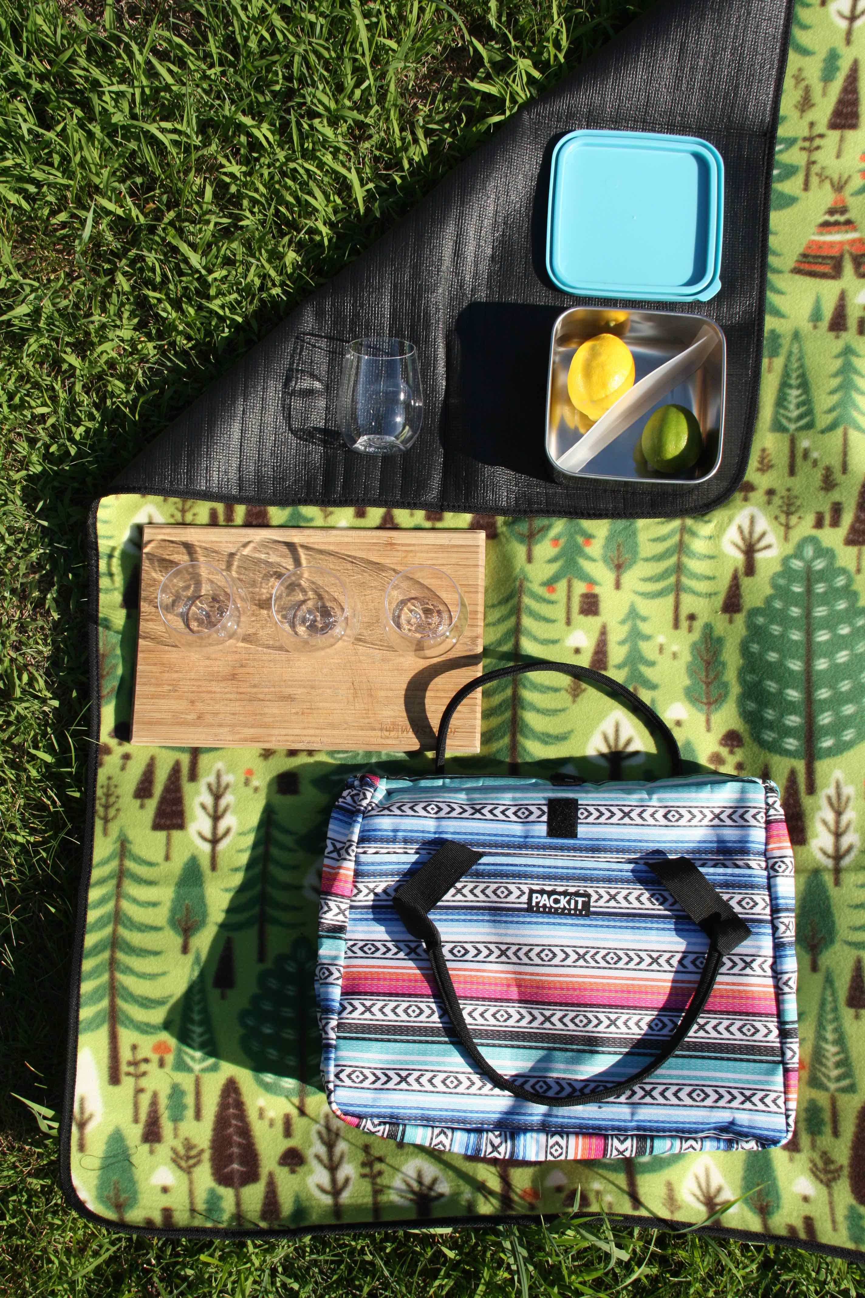 packit picnic tote