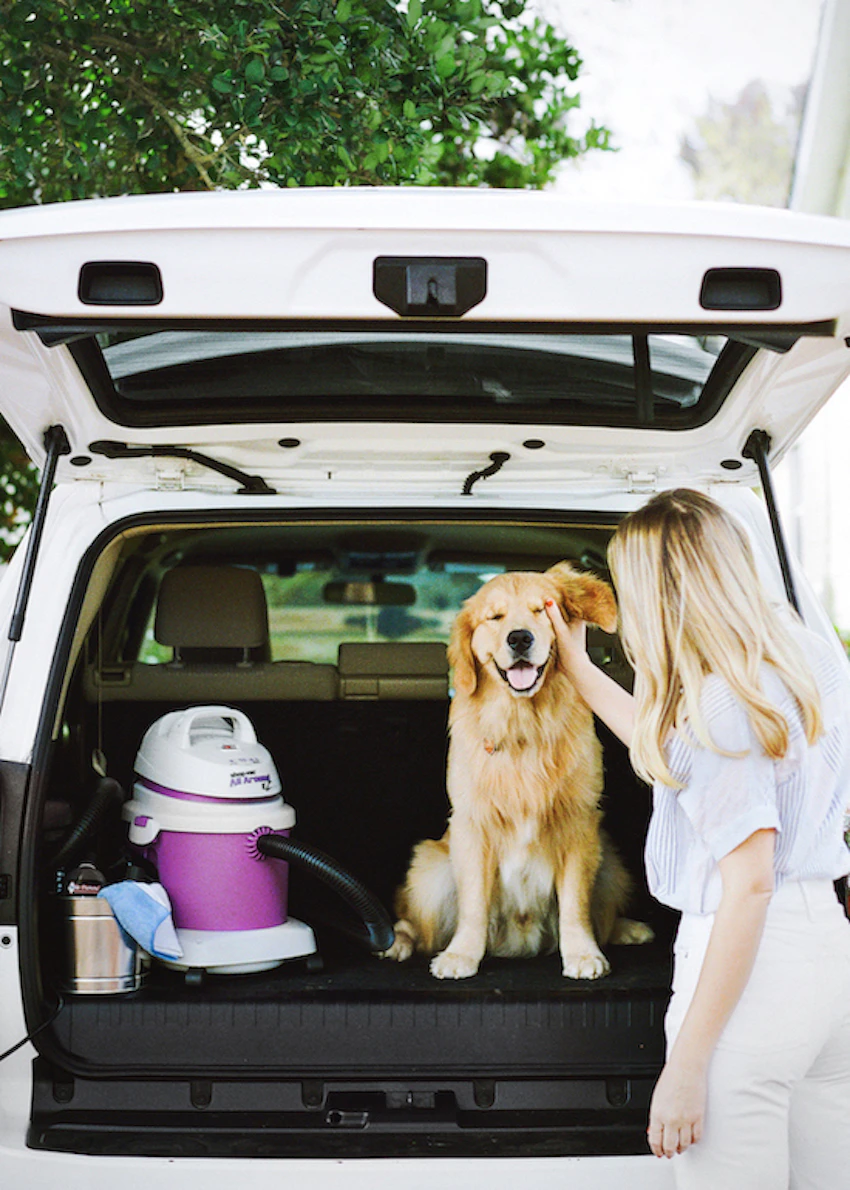 how-to-clean-the-inside-of-your-car-windshield-6-steps-car