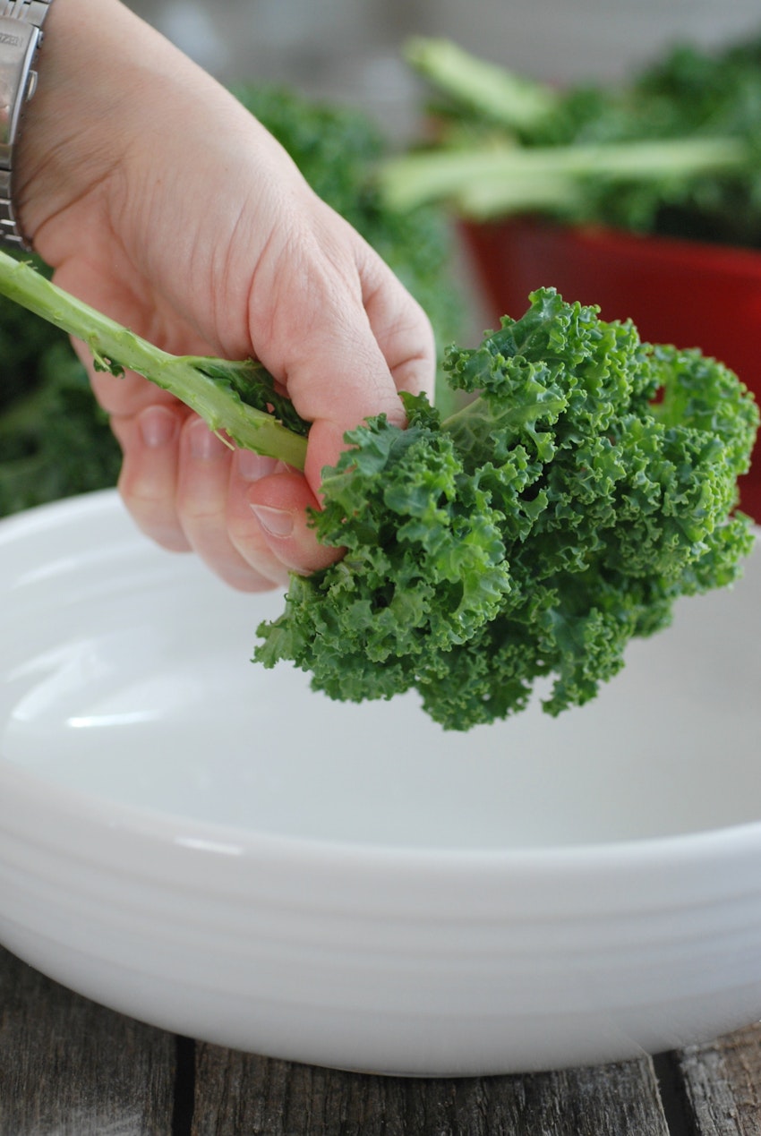 Kale Chips 1 Resize Kale Chips 1 Resize