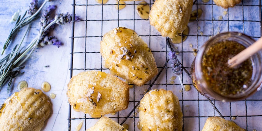 Classic French Madeleines with Lavender Honey