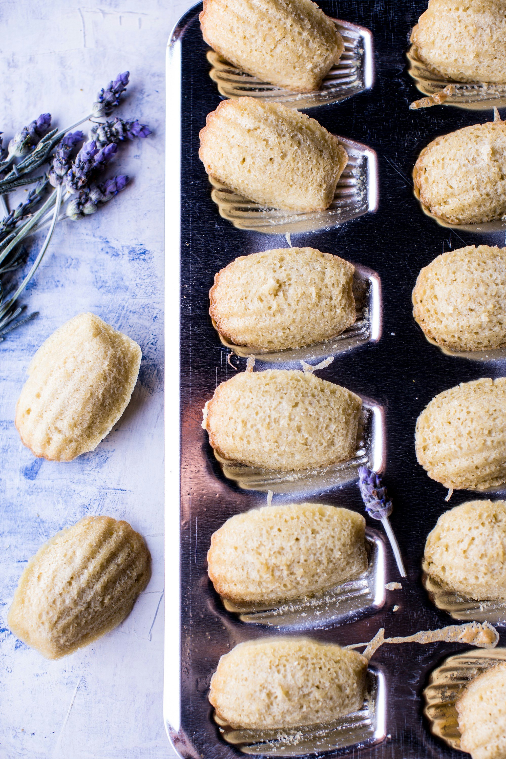 Classic French Madeleines with Lavender Honey | The Inspired Home