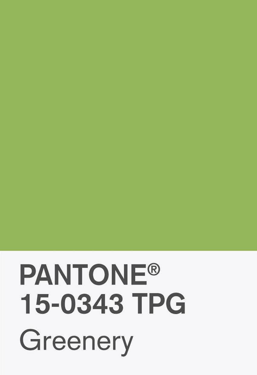Pantone Coy 2017 Hero Shot Rgb Chip 2 Pantone Coy 2017 Hero Shot Rgb Chip 2