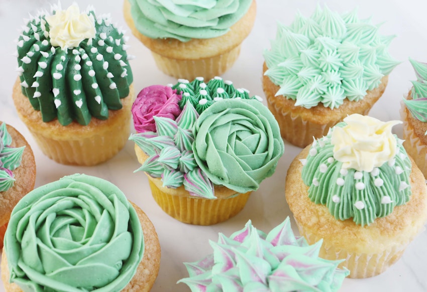 Sweet Vanilla Succulent Cupcake Decorating Tutorial ... Sweet Vanilla Succulent Cupcake Decorating Tutorial ...