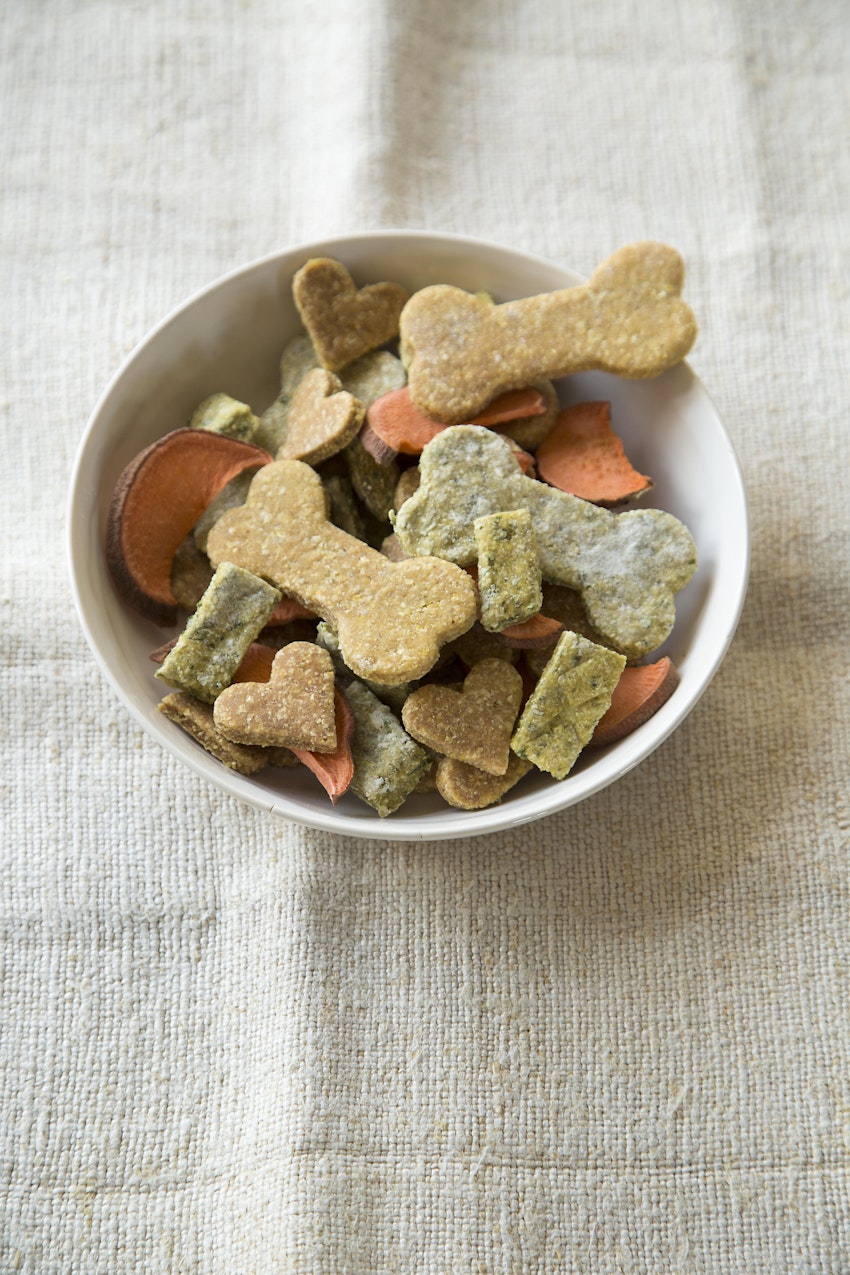 Homemade Dog Treats for Your Four-Legged Pals